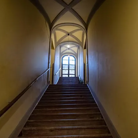 Maison Cuto